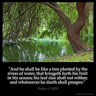 Psalms_1-3: And he shall be like a tree planted by the rivers of water, that bringeth forth his fruit in his season; his leaf also shall not wither; and whatsoever he doeth shall prosper