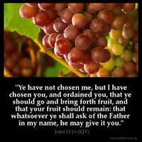 John_15-16: Ye have not chosen me, but I have chosen you, and ordained you, that ye should go and bring forth fruit, and that your fruit should remain: that whatsoever ye shall ask of the Father in my name, he may give it you