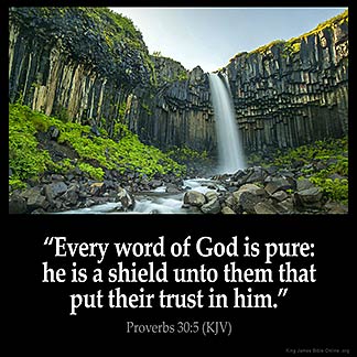 Proverbs_30-5: Every word of God is pure: he is a shield unto them that put their trust in him