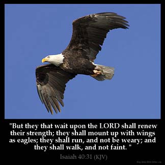 Isaiah_40-31: But they that wait upon the LORD shall renew their strength; they shall mount up with wings as eagles; they shall run, and not be weary; and they shall walk, and not faint