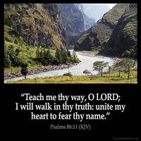 Psalms_86-11-1: Teach me thy way, O LORD; I will walk in thy truth: unite my heart to fear thy name.