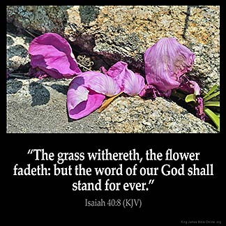 Isaiah_40-8: The grass withereth, the flower fadeth: but the word of our God shall stand for ever
